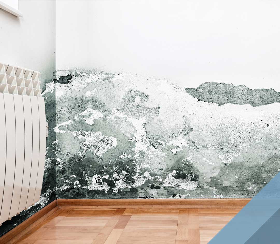 The image presents a picture of mold that is present on a home's interior wall, to support the web page discussion that Slopeside Home Inspections is certified to provide mold sampling services as a part of its home inspection service in Washington and Oregon.